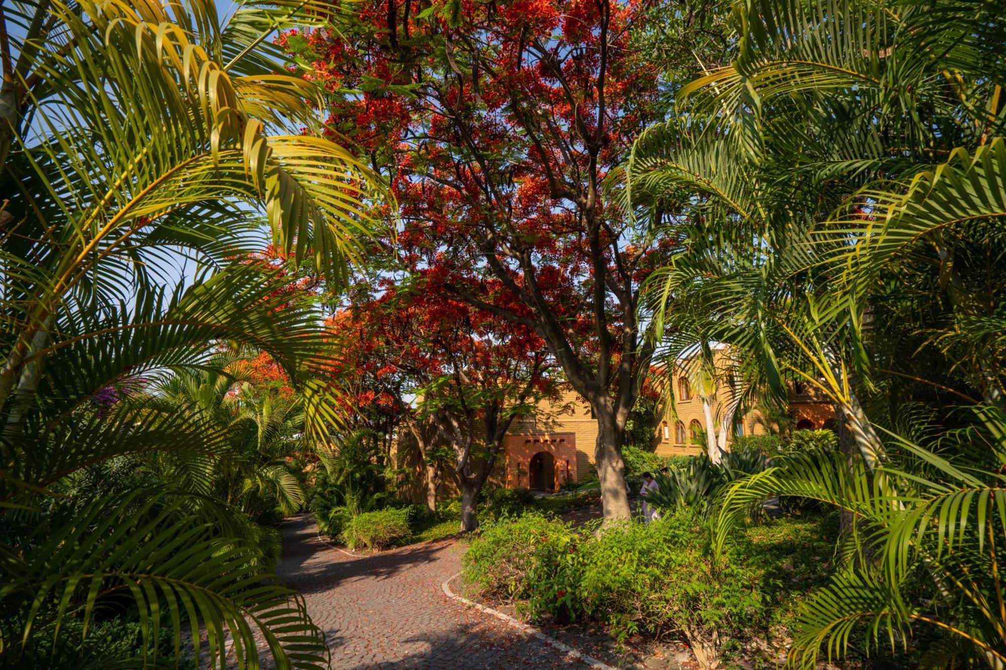 Mision Del Sol Resort & Spa Adults Only Куэрнавака Экстерьер фото